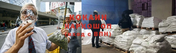 гидра Алексин